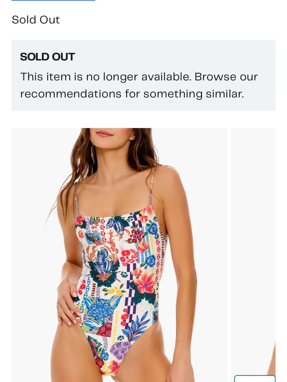 Agua bendita Floral One-Piece Swimsuit Multicolor